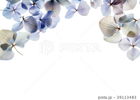 floral composition floral composition 39113483