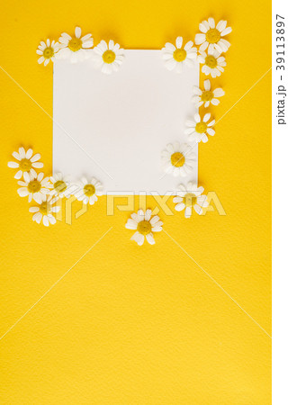 daisy flowers on the paper card daisy flowers on the paper card 39113897