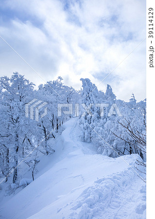 わかさ氷ノ山スキー場リフトトップから山頂へ続く尾根！（鳥取県八頭郡若桜町）※作品コメント欄に撮影位置 39114129