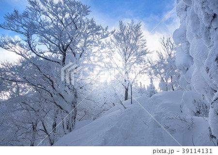 わかさ氷ノ山スキー場リフトトップから山頂へ続く尾根！（鳥取県八頭郡若桜町）※作品コメント欄に撮影位置 39114131