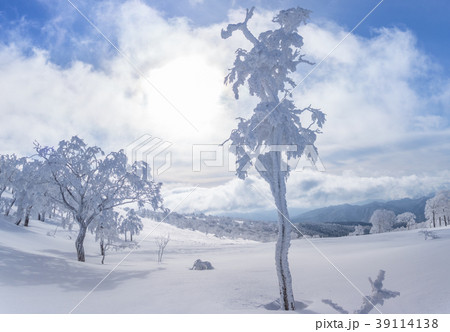 わかさ氷ノ山、三の丸付近の風景！（鳥取県八頭郡若桜町）※作品コメント欄に撮影位置 39114138