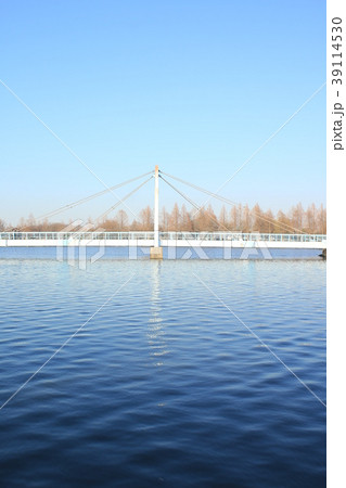 東京都立水元公園 水元大橋 東京都立水元公園 水元大橋 39114530