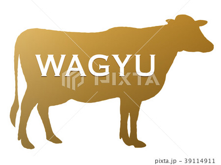WAGYU 39114911