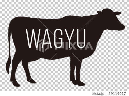 WAGYU WAGYU 39114917