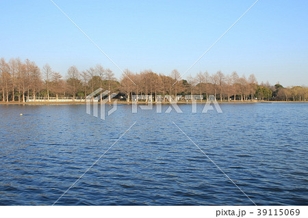 東京都立水元公園　小合溜井 39115069