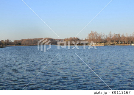 東京都立水元公園 小合溜井 東京都立水元公園 小合溜井 39115167