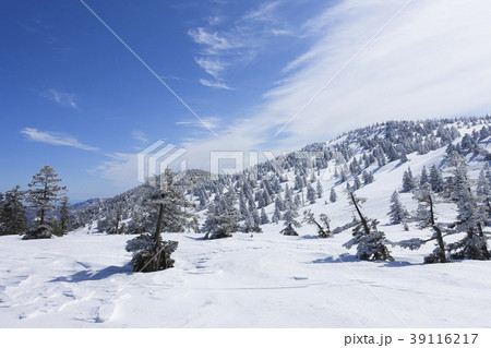 樹氷原と雪原 樹氷原と雪原 39116217