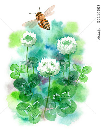 水彩で描いたシロツメクサとミツバチのイラスト素材