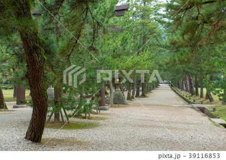 出雲神社の表参道4 出雲神社の表参道4 39116853