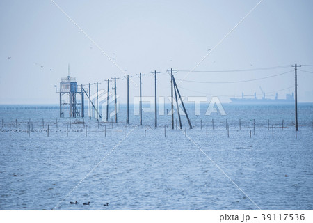 久津間海岸 の写真素材