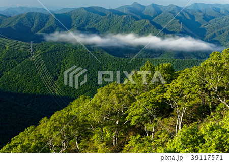 平標山・松手コースの新緑 平標山・松手コースの新緑 39117571