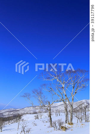 北海道藻琴山の冬景色 39117796