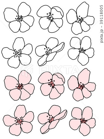 桜 花 花びら 39118005