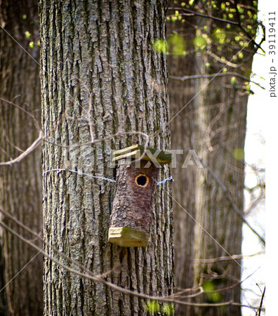 Birdhouse on Tree 39119411