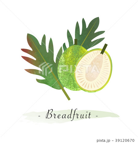 Colorful watercolor texture vector healthy fruit Colorful watercolor texture vector healthy fruit 39120670
