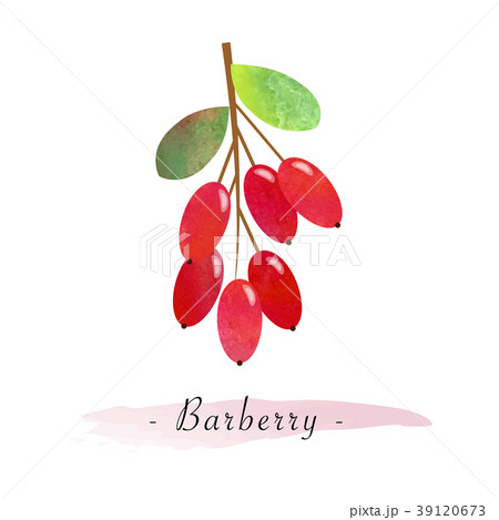 Colorful watercolor texture vector healthy fruit 39120673