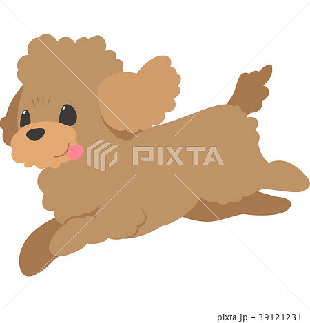 Running Dog Toy Poodle Stock Illustration