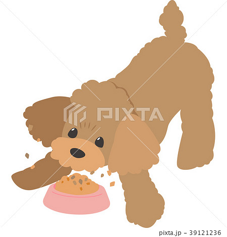 餌を食べている犬 トイプードル のイラスト素材