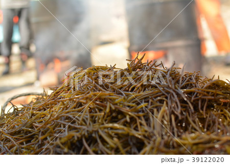 とれたてひじき 39122020