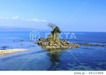 早春の雨晴海岸 39122909