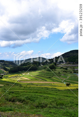 大垪和西の棚田 大垪和西の棚田 39123209