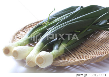 葉玉葱 葉玉葱 39123381
