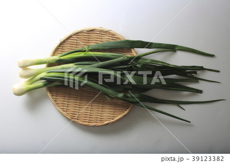 葉玉葱 葉玉葱 39123382