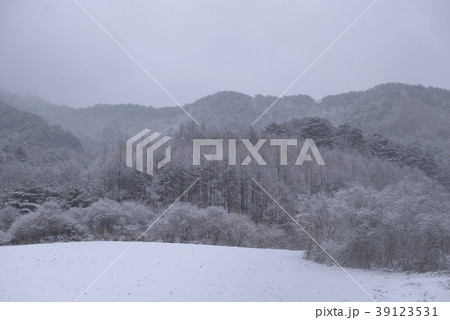 雪景色 森 霧氷 39123531