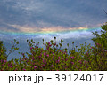 彩雲 39124017