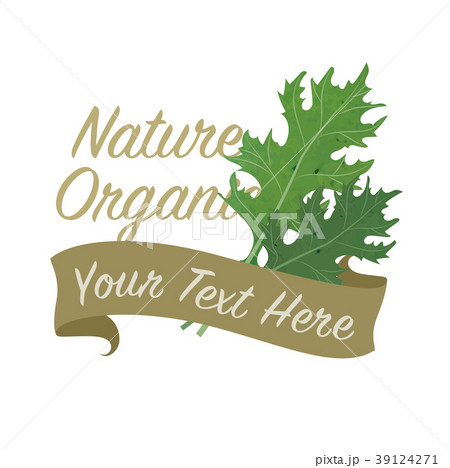 Colorful watercolor organic vegetable banner 39124271