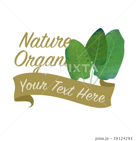 Colorful watercolor organic vegetable banner 39124293