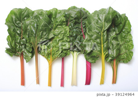 スイスチャード(不断草、フダンソウ) スイスチャード(不断草、フダンソウ) 39124964