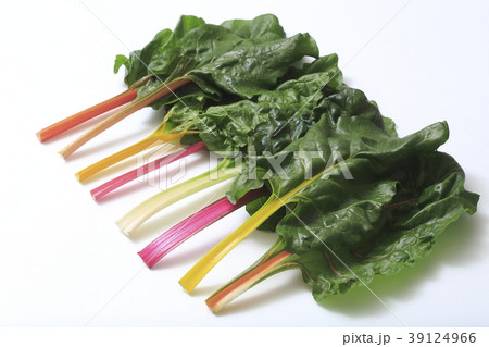 スイスチャード(不断草、フダンソウ) 39124966