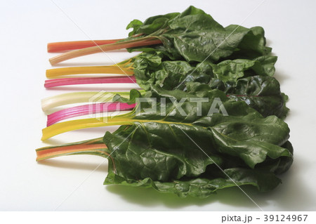 スイスチャード(不断草、フダンソウ) 39124967