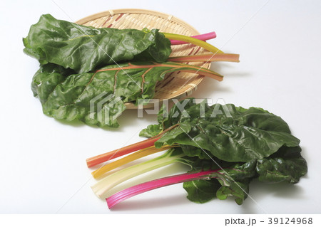 スイスチャード(不断草、フダンソウ) 39124968