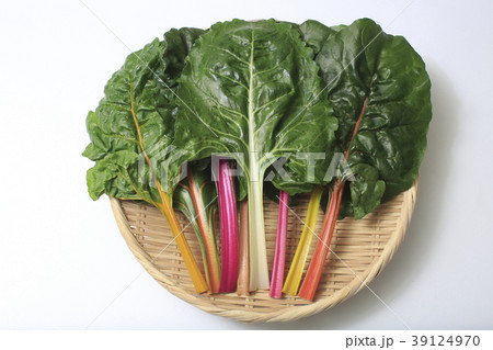 スイスチャード(不断草、フダンソウ) 39124970