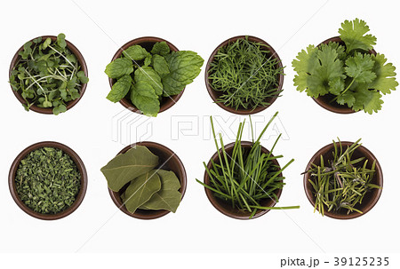 Herbs used in cooking 39125235