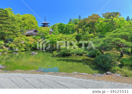 新緑の北庭と五重塔 仁和寺 の写真素材