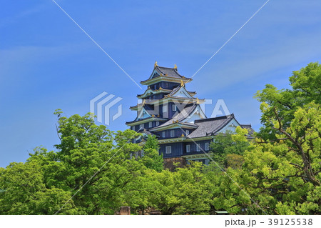 新緑の岡山城天守閣 39125538