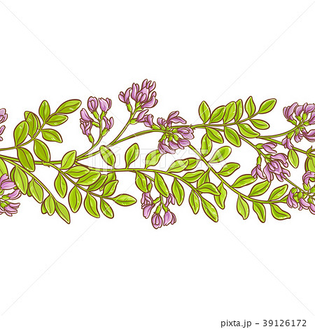 astragalus vector pattern 39126172