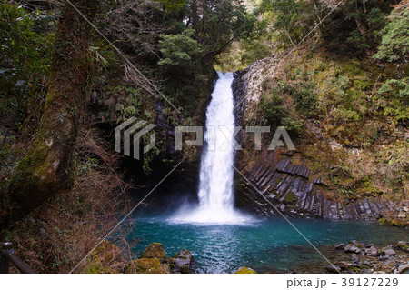 【日本の滝100選】浄蓮の滝 39127229