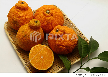 訳ありのデコポン 39127445