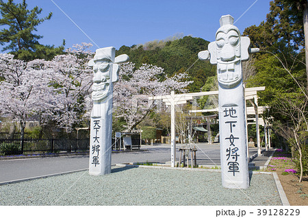 春の高麗神社 39128229