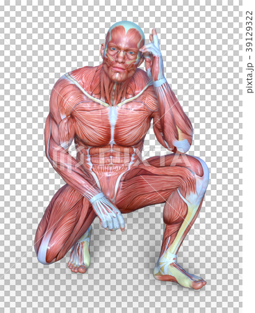 Human Body Stock Illustrations – 448,849 Human Body Stock