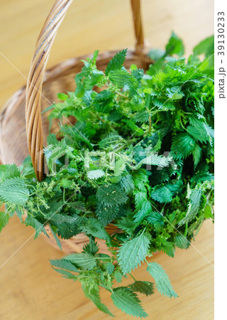 nettle in the basket nettle in the basket 39130233