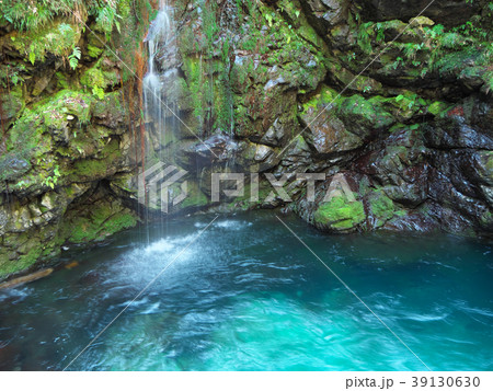 うなぎ伝説 粥川谷-矢納ヶ渕(長良川支流-岐阜県郡上市美並町) うなぎ伝説 粥川谷-矢納ヶ渕(長良川支流-岐阜県郡上市美並町) 39130630