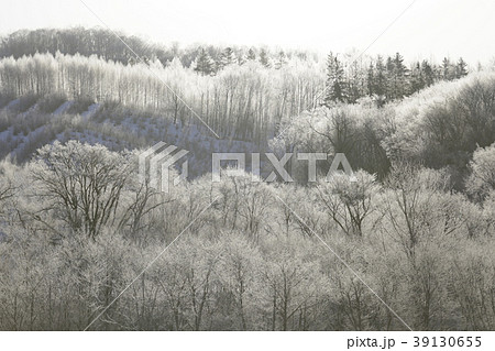 北海道の厳冬期の日の出(陸別町) 39130655