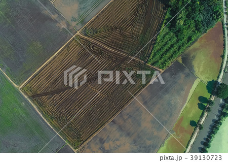 Aerial view preparation for rice paddy plantation Aerial view preparation for rice paddy plantation 39130723