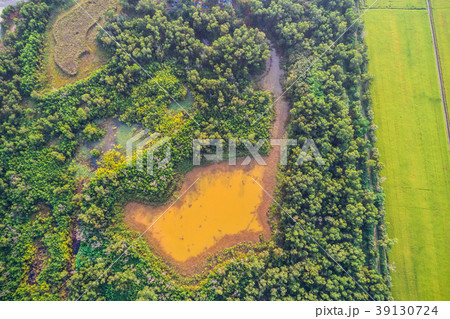 Beautiful aerial view of yellow pond surrounded by turquoise tre Beautiful aerial view of yellow pond surrounded by turquoise tre 39130724