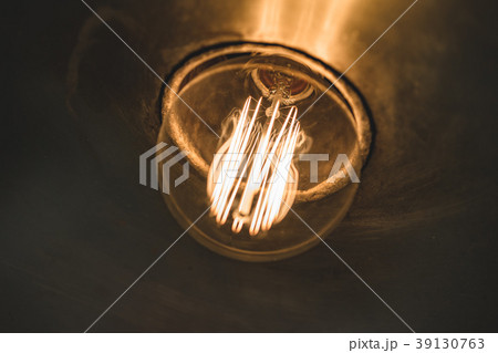 球根 電球 球 39130763